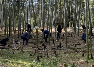 Connecting with Our Roots: A Day of Bamboo Forest Stewardship and Sustainable Harvesting