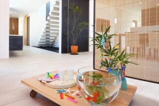 Summer Holiday Notice: Gratitude and Milestones of the Year