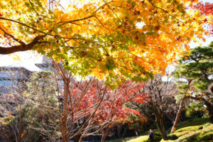 株式会社八芳園